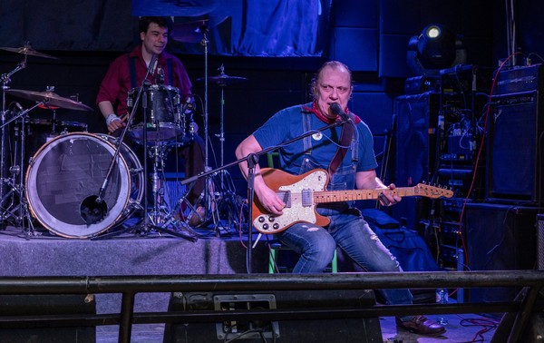 Собаки Качалова