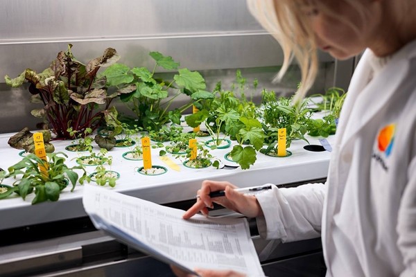 Флорариум. Как всё устроено