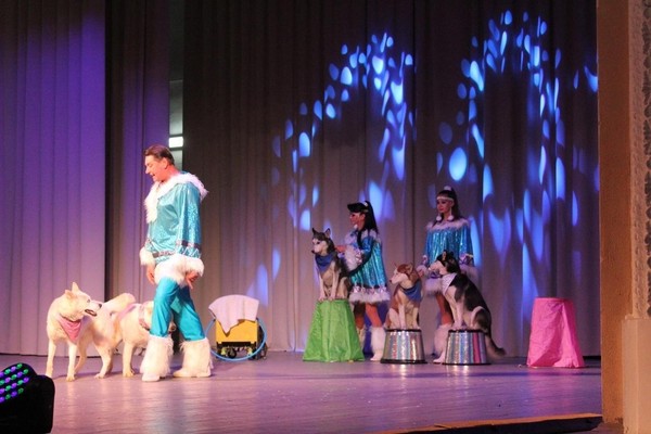 Цирковое шоу для всей семьи «Карнавал животных»