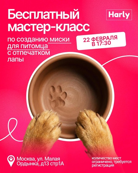 Открытый мастер-класс по созданию миски для собак с брендом Harly