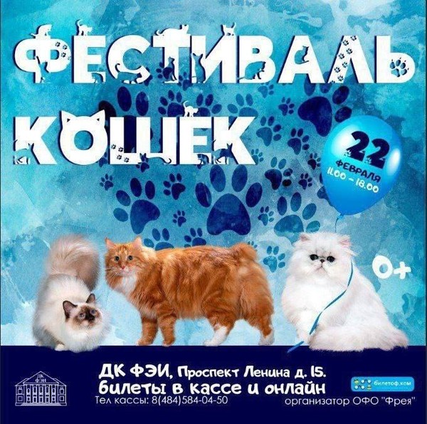 Фестиваль породистых кошек «Котознайка»