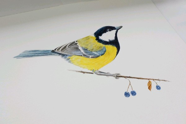 Мастер–класс «Синичка–невеличка»