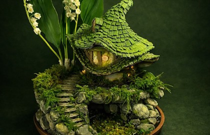 АЙДОЛЛ. Домики