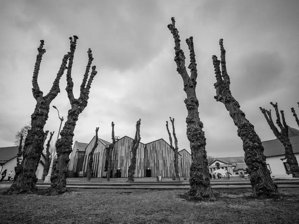 Фотовыставка «Тишина момента»