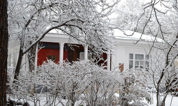 Инновация в действии: мессенджер становится музейным билетом