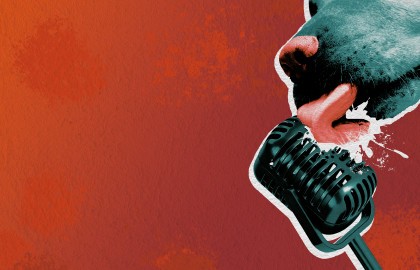 Без поводка