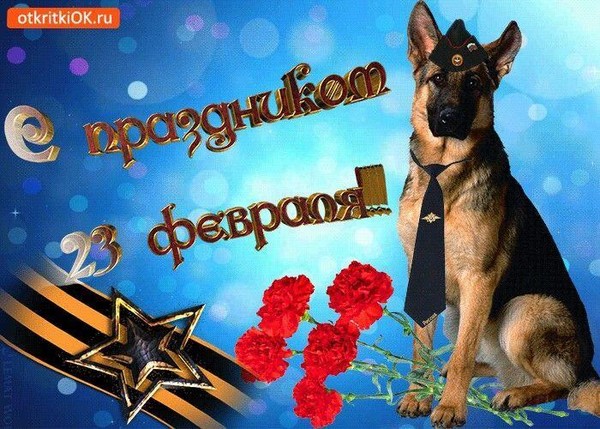 День защитников отечества