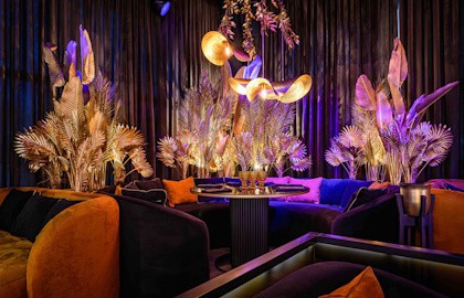 Гастрономический ужин