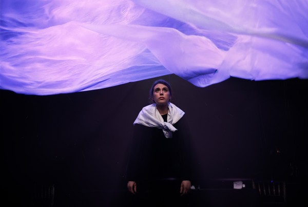 Стеклянный зверинец