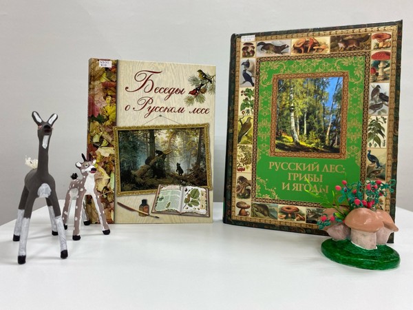 Краеведческая викторина «Загадки древней тайги»