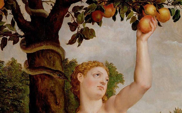 Земля дала плод свой: фрукты