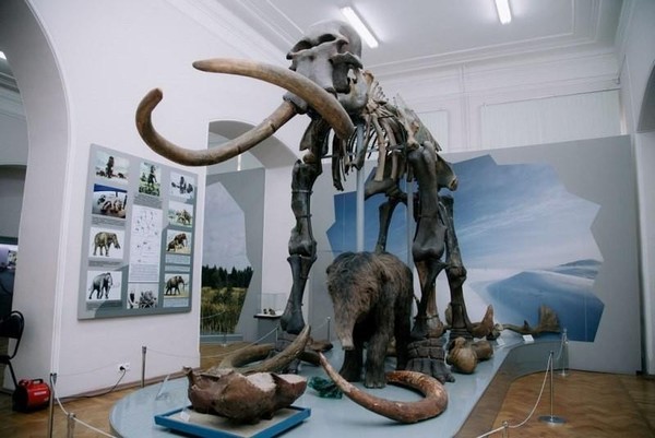 Выставка в Астраханском краеведческом музее