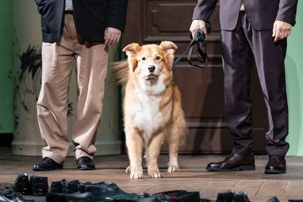 Собачье сердце