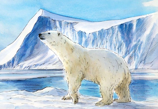 Занятие «По следам белого медведя»