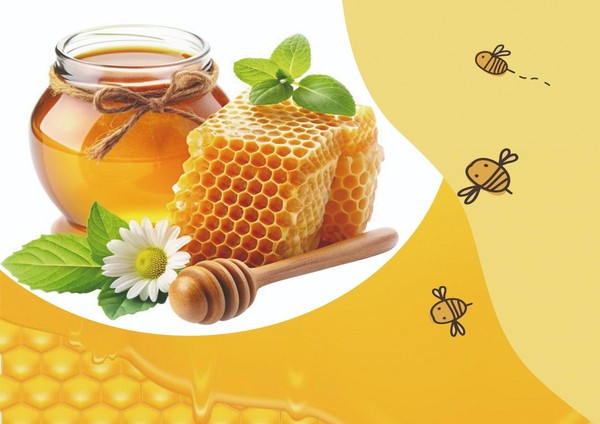 Медовый вечер в клубе «Среда»