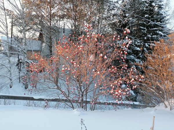 Концерт «Февральская лазурь»