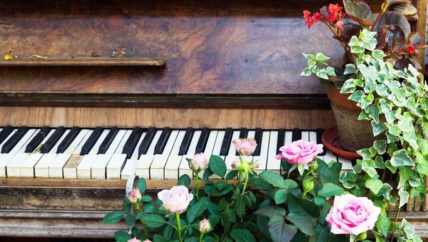 Мастер-класс «Работа над кантиленой в классе фортепиано»