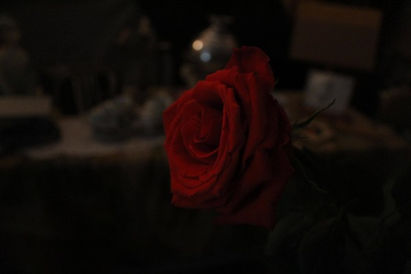 Квест «Нерассказанная сказка»