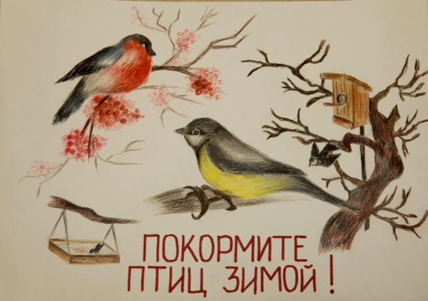 Экологический час «Покормите птиц», в рамках областной акции «Покормите птиц зимой»