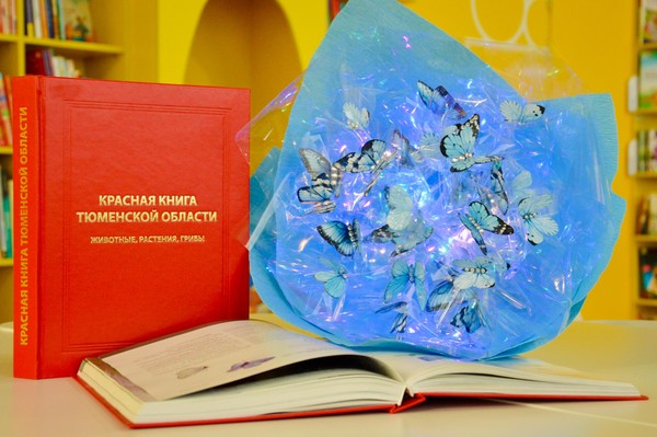 Программа «Полет над Сибирью»