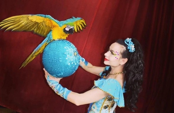 Цирк «Шоу героев»