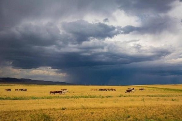 Тематическая беседа «История Воронежского края в середине XI начале XIV вв.»