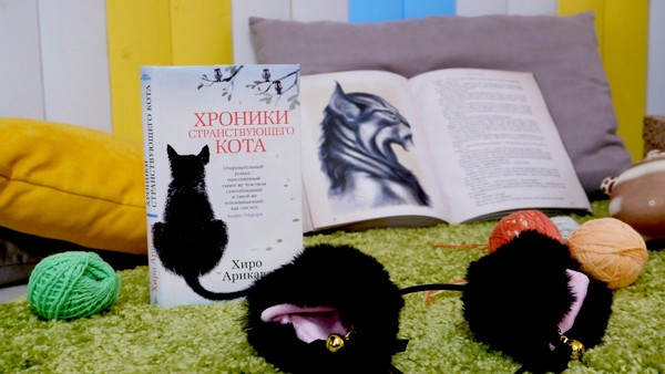 Познавательный час «Гуляют кошки по страницам»