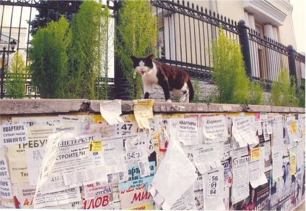 Экскурсия по выставке «Время в объективе А. Нелюбина»