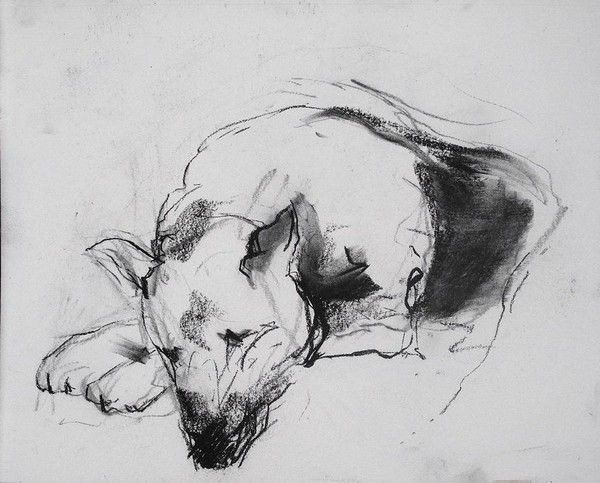 Творческое занятие «Графика углем»