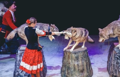 Необыкновенное путешествие