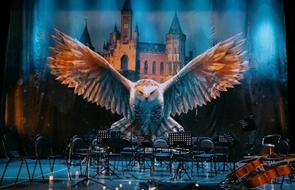 Harry Potter. Magic Music