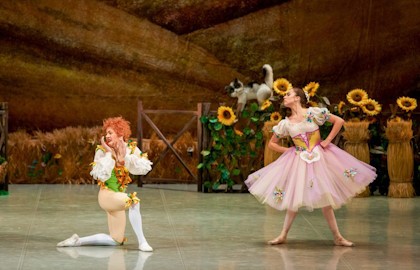 Тщетная предосторожность