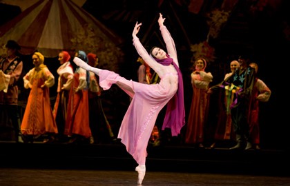 Каменный цветок