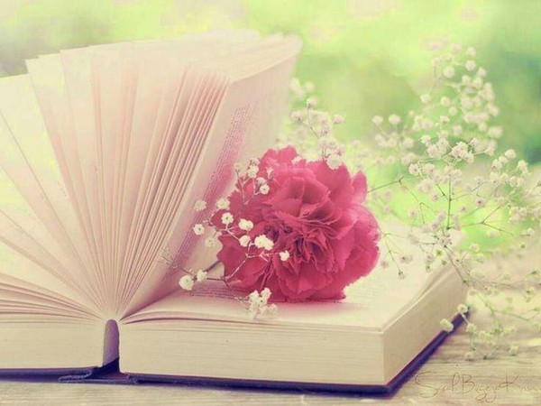 «Солнечные стихи»