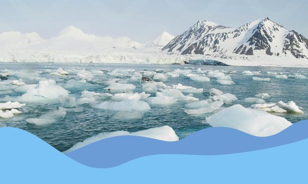 «Спасем Арктику» экологический квест