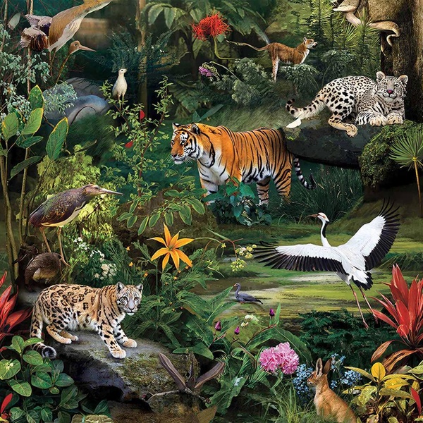 День дикой природы» отметят в семейном центре «Притяжение