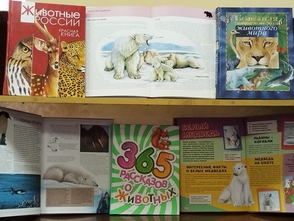 Экологическая игра «Мишка на Севере»