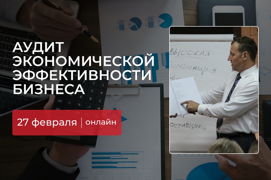 Аудит экономической эффективности бизнеса