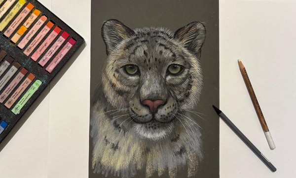 Мастер-класс «Снежный барс пастелью»