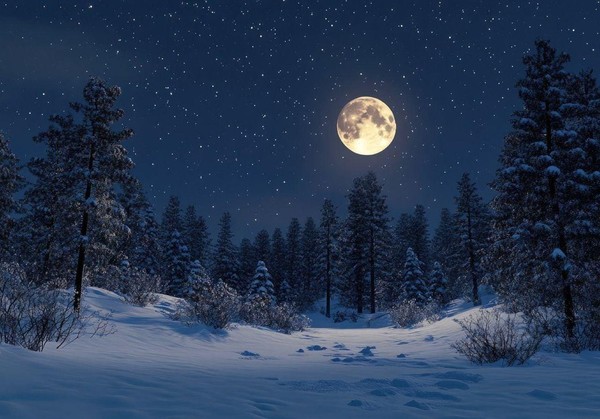 Информационный дайджест «Когда уходит зима»