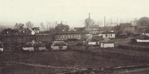 Тематическая беседа «Производство подсолнечного масла в Воронежской губернии»