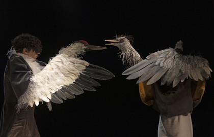 Журавль и цапля