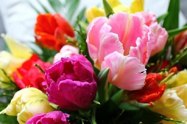 «Весенний концерт»