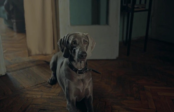 Показ патриотических и исторических фильмов «Каруза»