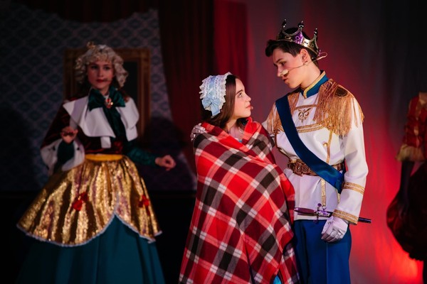 Разыскивается принцесса