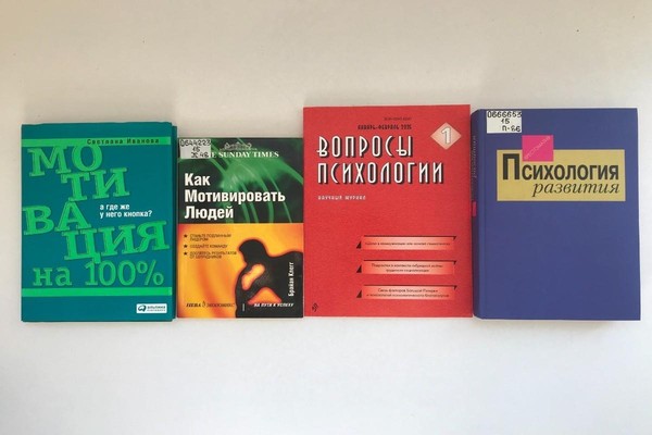 День психологии в Никитинке «Мотивация трудовой деятельности»