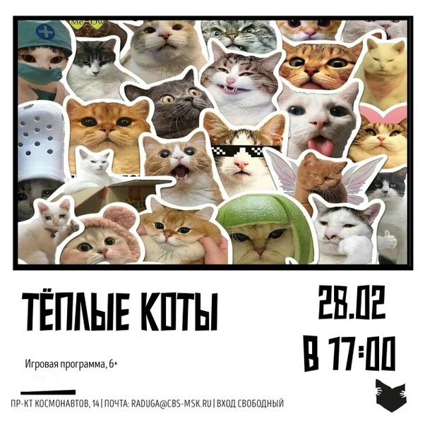 Игровая программа «Тёплые коты»