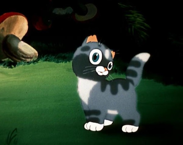 Кошачий концерт