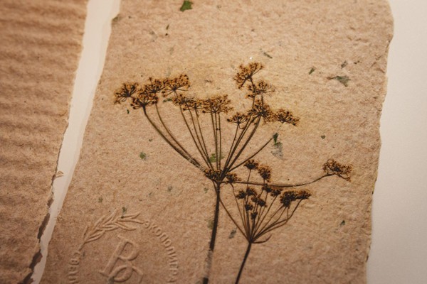 Практическое занятие «Литье бумаги»