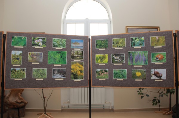 Лекция «Опасные пришельцы»